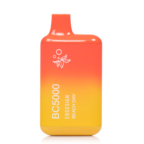 EB BC Disposable Vape 5000 Puffs (10 Pack)