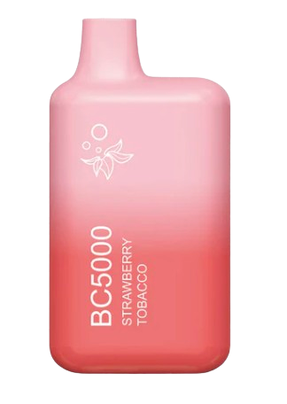 EB BC Disposable Vape 5000 Puffs (10 Pack)