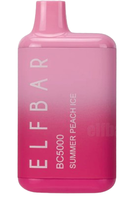 EB BC Disposable Vape 5000 Puffs (10 Pack)