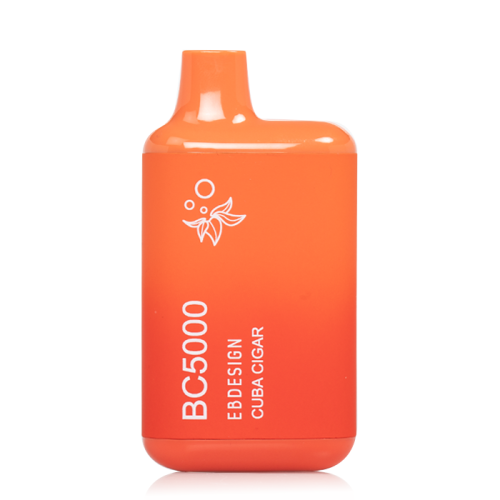 EB BC Disposable Vape 5000 Puffs (10 Pack)