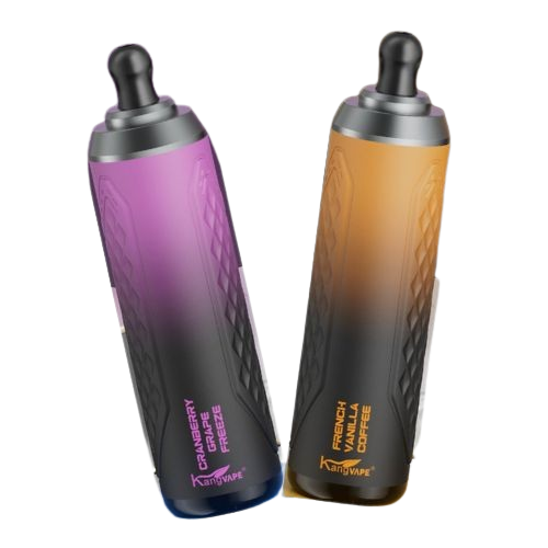 Kangvape Onee Stick 5500 Disposable Vape 10-Pack: 5500 puffs, 18.5mL, 5% nicotine, long battery life, mesh heating, USB-C.