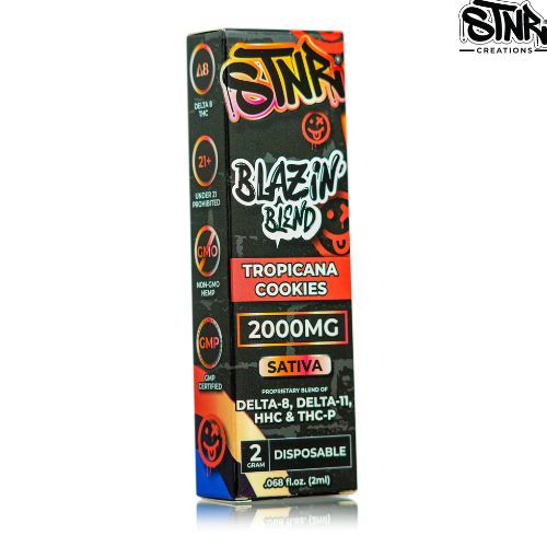 STNR Blazin Blend Disposable 2G