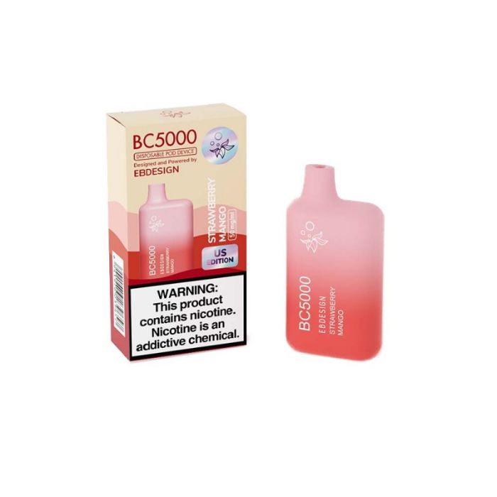 EB BC Disposable Vape 5000 Puffs (10 Pack)