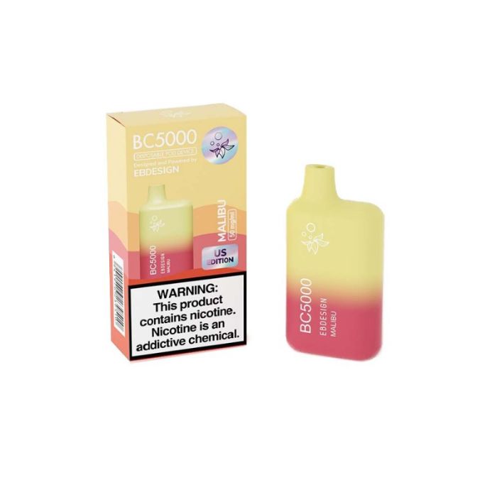 EB BC Disposable Vape 5000 Puffs (10 Pack)