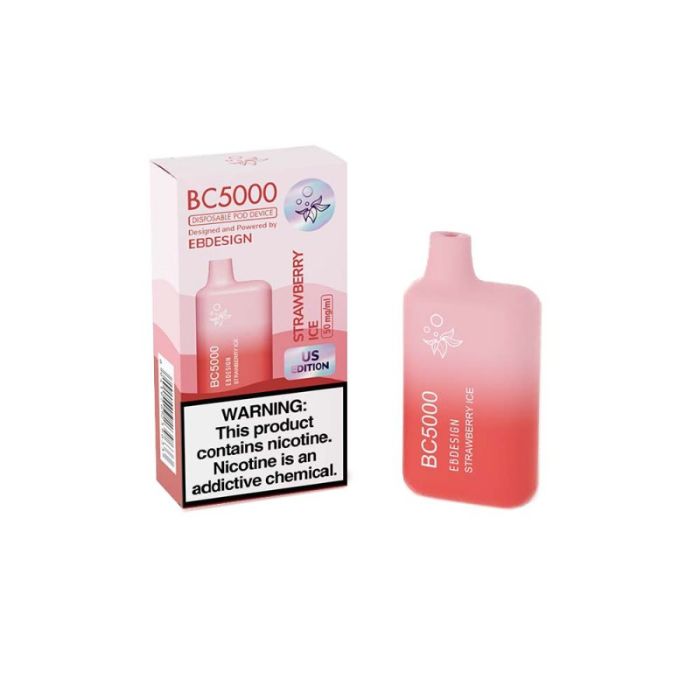 EB BC Disposable Vape 5000 Puffs (10 Pack)