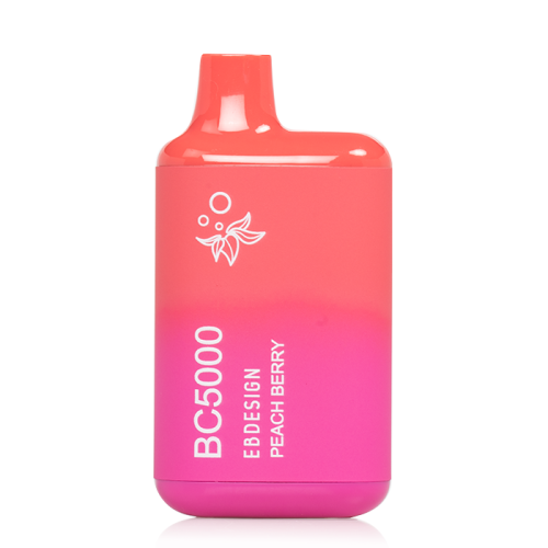 EB BC Disposable Vape 5000 Puffs (10 Pack)