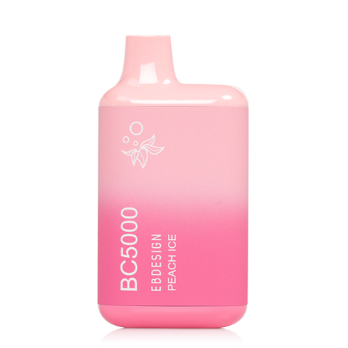 EB BC Disposable Vape 5000 Puffs (10 Pack)