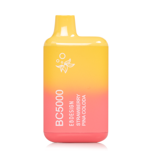 EB BC Disposable Vape 5000 Puffs (10 Pack)