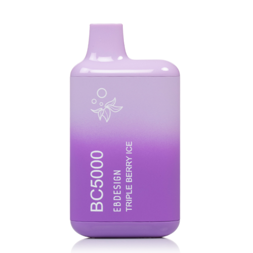 EB BC Disposable Vape 5000 Puffs (10 Pack)