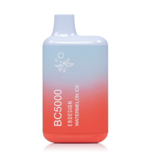 EB BC Disposable Vape 5000 Puffs (10 Pack)
