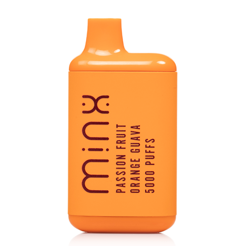 Minx Disposable Vape 5000 Puffs (10 Pack)