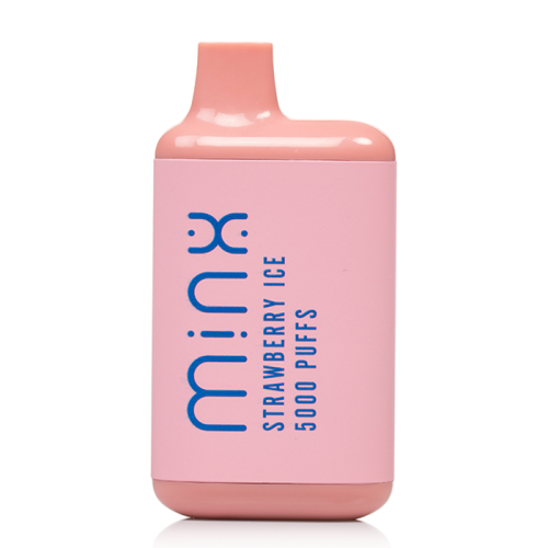 Minx Disposable Vape 5000 Puffs (10 Pack)