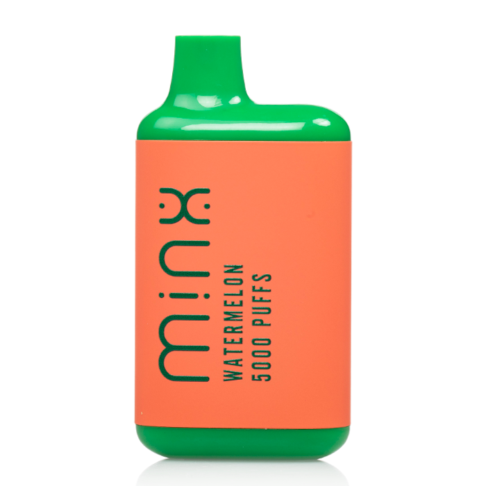 Minx Disposable Vape 5000 Puffs (10 Pack)