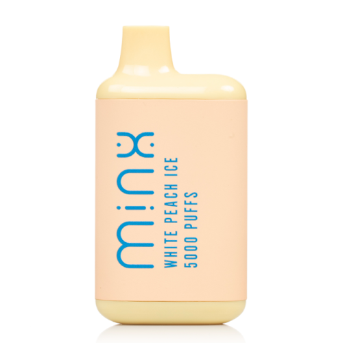 Minx Disposable Vape 5000 Puffs (10 Pack)