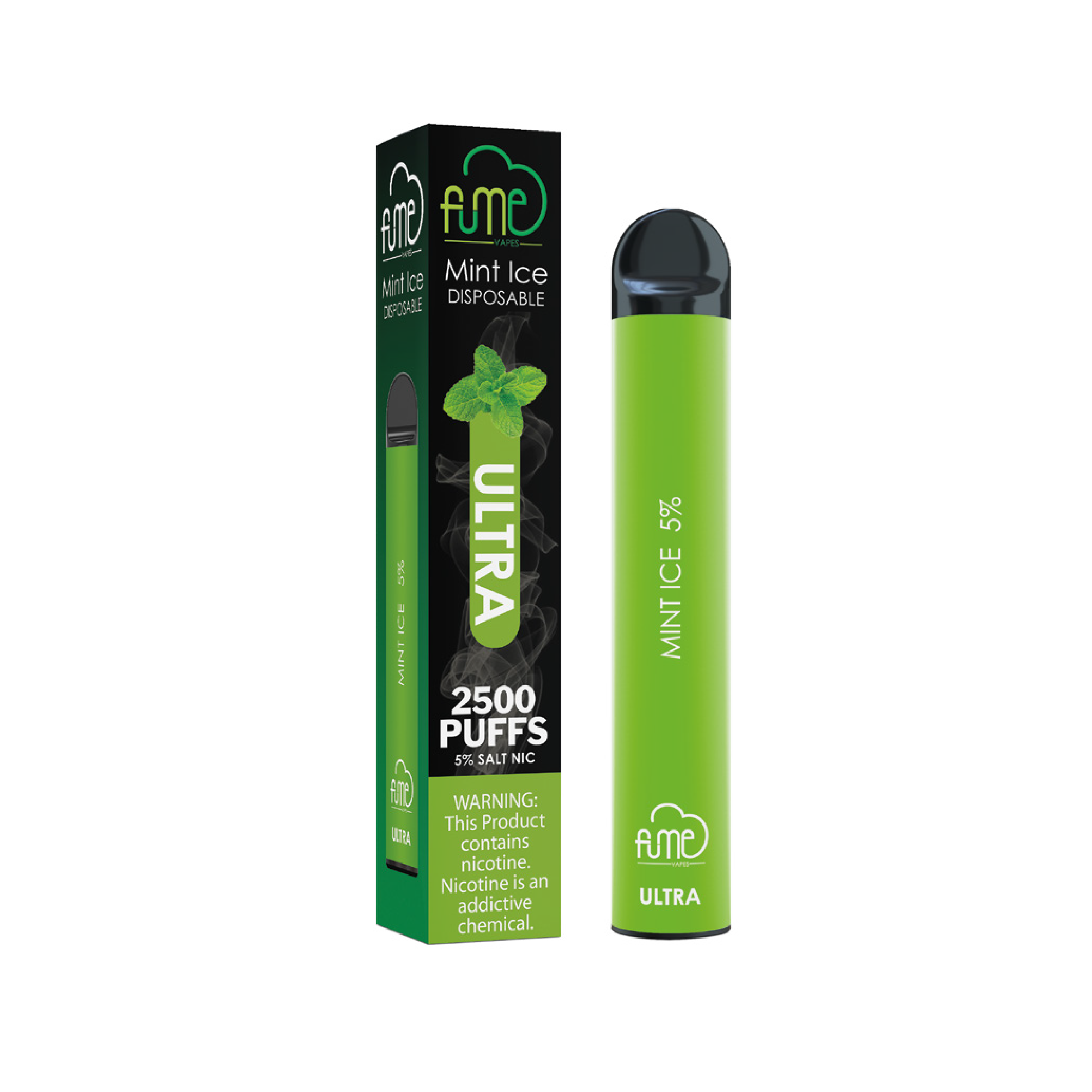 Fume Extra - Box of 10 - Mint Ice / Ice Mint